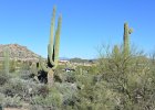 Phoenix021415-2474-2  Hiking Pinnacle Peak Park, Scotsdale : 2015, 26802 N 102 Way, Arizona, Hiking, Phoenix, Pinnacle Peak Park, Scottsdale