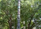 Seattle072715-3491  Tlingit Indian Totem Pole. Pioneer Square. Downtown Seattle walk : 2015, Pioneer Square, Seattle, WA, Washington
