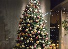 Miyako Xmas Tree  Xmas Tree, Sheraton Miyako Hotel : 2015, Minato, Miyako, Tokyo