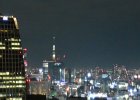 Skytree  Skytree. Tokyo cityscape view from Tokyo Tower Main Observatory Level, Shiba Park, Minato : 2015, Cityscape, Minato, Shiba Kōen, Shiba Park, Skytree, Tokyo, Tokyo Tower