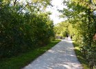 PrairiePathBike091116-5786  Bike Illinois Prairie Path, Aurora Branch from Warrenville to Lincoln Marsh, Wheaton : 2016, Aurora Branch, Biking, DuPage County, DuPage Forest Preserve, Forest Preserve District of DuPage County, Illinois Prairie Path, Wheaton
