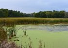 Lincoln Marsh  Lincoln Marsh. Elgin Branch. Biking the Prairie Path Grand Tour:  30 mile loop starting in Warrenville, then Wheaton, West Chicago, Geneva, Batavia, I-88 then back to Warrenville. : 2016, 30 mile loop, Biking, Grand Tour, Prairie Path