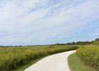SpringbrookBike090416-5687  Bike Springbrook Prairie bike trail, Naperville : 2016, Biking, Forest Preserve District Dupage County, Naperville, Naperville Park District, Springbrook, Springbrook Prairie, Springbrook Prairie Forest Preserve, biketrail, praire