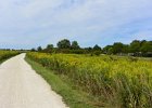 SpringbrookBike090416-5691  Bike Springbrook Prairie bike trail, Naperville : 2016, Biking, Forest Preserve District Dupage County, Naperville, Naperville Park District, Springbrook, Springbrook Prairie, Springbrook Prairie Forest Preserve, biketrail, praire
