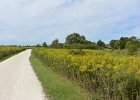 SpringbrookBike090416-5692  Bike Springbrook Prairie bike trail, Naperville : 2016, Biking, Forest Preserve District Dupage County, Naperville, Naperville Park District, Springbrook, Springbrook Prairie, Springbrook Prairie Forest Preserve, biketrail, praire