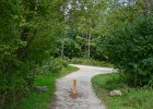 Approaching trail head  Approaching trail head.  Bike Waterfall Glen trail : 2016, Darien, DuPage County, Forest Preserve, Forest Preserve District Dupage County, IL, Illinois, Waterfall Glen, Waterfall Glen Forest Preserve, biketrail, bikiing