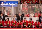 Coach Q and the Hawks bench  Coach Joel Quenneville and the Blackhawks bench. Blackhawks vs Toronto Maple Leafs.  Hawks won 7.2 : 2016, Blackhawks, Blackhawks vs Maple Leafs, Chicago, Chicago vs Toronto, Hockey, Ice Hockey, United Center