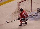 Mashinter  Brandon Mashinter at the goal. Blackhawks vs Toronto Maple Leafs.  Hawks won 7.2 : 2016, Blackhawks, Blackhawks vs Maple Leafs, Chicago, Chicago vs Toronto, Hockey, Ice Hockey, United Center