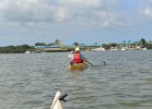 Captiva040616-4654  Paddeling back.  Kayaking from Tween-waters Inn down Roosevelt Channel, then around the far side of Buck Kay.  No wind, tide coming in. : 2016, Captiva, Cormorant, Kayaking
