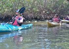 Captiva040616-4695  At the end of the Mangrove Trail in Braynerd Bayou. Kayaking through Buck Key mangrove trail, then down Roosevelt Channel to Blind Pass. : 2016, Braynerd Bayou, Buck Key, Captiva, Kayaking, Mangrove Trail