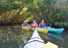 Captiva040616-4703  At the end of the Mangrove Trail in Braynerd Bayou. Kayaking through Buck Key mangrove trail, then down Roosevelt Channel to Blind Pass. : 2016, Braynerd Bayou, Buck Key, Captiva, Kayaking, Mangrove Trail