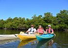 Captiva040616-4705  At the end of the Mangrove Trail in Braynerd Bayou. Kayaking through Buck Key mangrove trail, then down Roosevelt Channel to Blind Pass. : 2016, Braynerd Bayou, Buck Key, Captiva, Kayaking, Mangrove Trail