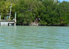Captiva040616-4720  Heading North along Roosevelt Channel. : 2016, Captiva, Kayaking, Roosevelt Channel