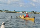 Cormorant helping Cathie  The cormorant is swimming under Cathie's boat to find fish. Paddeling back.  Kayaking from Tween-waters Inn down Roosevelt Channel, then around the far side of Buck Kay.  No wind, tide coming in. : 2016, Buck Key, Captiva, Cormorant, Kayaking