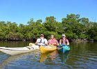 Kayaking Mangrove Trail  At the end of the Mangrove Trail in Braynerd Bayou. Kayaking through Buck Key mangrove trail, then down Roosevelt Channel to Blind Pass. : 2016, Braynerd Bayou, Buck Key, Captiva, Kayaking, Mangrove Trail