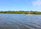 Captiva102216-6244  Monday, Day 3, Kayaking from Tween Waters down Roosevelt Channel, then back up, thru Mangrove Trail, then loop left/north around Buck Key back to Launch point.  Rough Waters, sheltered. Same as Day 2 : 2016, Buck Key, Captiva, Kayaking, Paddeling, Roosevelt Channel