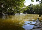 Captiva102216-6256  Monday, Day 3, Kayaking from Tween Waters down Roosevelt Channel, then back up, thru Mangrove Trail, then loop left/north around Buck Key back to Launch point.  Rough Waters, sheltered. Same as Day 2 : 2016, Buck Key, Captiva, Kayaking, Paddeling, Roosevelt Channel
