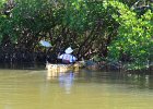 Captiva102216-6186  Sunday, Day 2, Kayaking from Tween Waters down Roosevelt Channel, then back up, thru Mangrove Trail, then loop left/north around Buck Key back to Launch point.  Rough Waters, sheltered. : 2016, Buck Key, Captiva, Kayaking, Roosevelt Channel