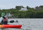 Dolphin  Dolphin seen while Kayaking from Tween Waters along Roosevelt Channel. : 2016, Buck Key, Captiva, Dolphin, Paddeling, Roosevelt Channel, paddling