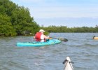 Captiva102216-6285  Tuesday, Day 4 Kayaking from Tween Waters down Roosevelt Channel, then back up the far side of BUck Key against the wind.  Then cut through the Mangrove Trail and back to Tween Waters. : 2016, Buck Key, Captiva, Kayaking, Roosevelt Channel, paddling