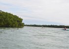 Captiva102216-6275  Tuesday, Day 4 Kayaking from Tween Waters down Roosevelt Channel, then back up the far side of BUck Key against the wind.  Then cut through the Mangrove Trail and back to Tween Waters. : 2016, Buck Key, Captiva, Kayaking, Roosevelt Channel, paddling