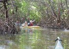 Captiva102216-6295  Tuesday, Day 4 Kayaking from Tween Waters down Roosevelt Channel, then back up the far side of BUck Key against the wind.  Then cut through the Mangrove Trail and back to Tween Waters. : 2016, Buck Key, Captiva, Kayaking, Roosevelt Channel, paddling