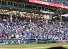 CubsVsBrewers091716-9091  Cubs vs Brewers at Wrigley Field, Cubs lose 11-3. : 2016, Baseball, Brewers, Cubs, MLB, Wrigley Field