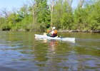 DesPlainesRiverRace052216-5277  Kayaking the Des Plaines River from Libertyville to Mt Prospect.  Des Plaines River Canoe and Kayak Marathon 2016 : 2016, Des Plaines River, Des Plaines River Canoe and Kayak Marathon, Kayaking, paddling