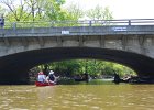 DesPlainesRiverRace052216-5300  Dundee ROad, 5 miles to go. Kayaking the Des Plaines River from Libertyville to Mt Prospect.  Des Plaines River Canoe and Kayak Marathon 2016 : 2016, Bridge, Des Plaines River, Des Plaines River Canoe and Kayak Marathon, Kayaking, paddling