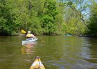 DesPlainesRiverRace052216-5288  Kayaking the Des Plaines River from Libertyville to Mt Prospect.  Des Plaines River Canoe and Kayak Marathon 2016 : 2016, Des Plaines River, Des Plaines River Canoe and Kayak Marathon, Kayaking, paddling