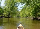 DesPlainesRiverRace052216-5296  Kayaking the Des Plaines River from Libertyville to Mt Prospect.  Des Plaines River Canoe and Kayak Marathon 2016 : 2016, Des Plaines River, Des Plaines River Canoe and Kayak Marathon, Kayaking, paddling
