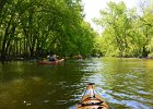 DesPlainesRiverRace052216-5293  Kayaking the Des Plaines River from Libertyville to Mt Prospect.  Des Plaines River Canoe and Kayak Marathon 2016 : 2016, Des Plaines River, Des Plaines River Canoe and Kayak Marathon, Kayaking, paddling
