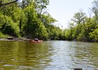 DesPlainesRiverRace052216-5304  Kayaking the Des Plaines River from Libertyville to Mt Prospect.  Des Plaines River Canoe and Kayak Marathon 2016 : 2016, Des Plaines River, Des Plaines River Canoe and Kayak Marathon, Kayaking, paddling