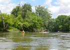 FoxRiverKayakSliverSprings052916-5329  Kayaking the Fox RIver from Yorkville to Silver Spring State Park. : 2016, Fox River, Kayaking, Yorkville to Sliver Springs State Park