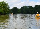 FoxRiverKayakSliverSprings052916-5337  Kayaking the Fox RIver from Yorkville to Silver Spring State Park. : 2016, Fox River, Kayaking, Yorkville to Sliver Springs State Park