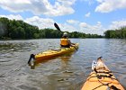 FoxRiverKayakSliverSprings052916-5346  Kayaking the Fox RIver from Yorkville to Silver Spring State Park. : 2016, Fox River, Kayaking, Yorkville to Sliver Springs State Park