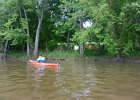 FoxRiverKayakSliverSprings052916-5358  Kayaking the Fox RIver from Yorkville to Silver Spring State Park. : 2016, Fox River, Kayaking, Yorkville to Sliver Springs State Park
