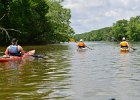 FoxRiverKayakSliverSprings052916-5324  Kayaking the Fox RIver from Yorkville to Silver Spring State Park. : 2016, Fox River, Kayaking, Yorkville to Sliver Springs State Park