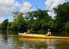 FoxRiverKayakSliverSprings052916-5351  Kayaking the Fox RIver from Yorkville to Silver Spring State Park. : 2016, Fox River, Kayaking, Yorkville to Sliver Springs State Park