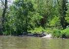 Shuh Shuh Canoe Launch  Shuh Shuh Canoe Launch, just up river from Millbrook. Kayaking the Fox RIver from Silver Springs State Park to Millington : 2016, Fox River, Millington, Silver Springs State Park