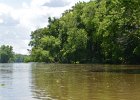 Approaching Lois Landing  Approaching Lois Landing, on the other side of the tree fall, ahead. Kayaking the Fox RIver from Silver Springs State Park to Millington : 2016, Fox River, Millington, Silver Springs State Park