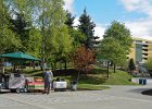 Town Square Park  Town Square Park. Walking through downtown Anchorage : 2016, Alaska, Anchorage, Downtown, Walking