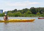 Busse Lake  Kayaking Busse Lake : 2017, Busse Forest Nature Preserve, Busse Lake, Kayaking