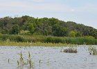 Busse Lake  Kayaking Busse Lake : 2017, Busse Forest Nature Preserve, Busse Lake, Kayaking