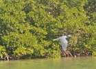 Paddling BUck Key, Captiva  Paddling North up Roosevelt Channel. Kayak around Buck Key, Captiva : 2017, Buck Key, Captiva, Kayaking, Roosevelt Channel