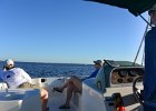 Boat to Cayo Costa  Boat North along the Intercoatal water way to Cayo Costa. Boating from Captiva to Cayo Costa and back : 2017, Boat Ride, Captiva, Cayo Costa.Boat Ride, Pine Island Sound, boating