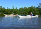 Kayak Buck Key  Braynerd Bayou. Kayaking Buck Key, counterclockwise. : 2017, Braynard Bayou, Buck Key, Captiva, Kayaking, Pine Island Sound