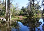 Charleston031117-6731  The Long White Bridge. Magnolia Plantation & Garden. Weekend with Mike and Liane in Columbia  and Charleston : 2017, Magnolia Plantation & Garden, South Carolina