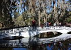 Charleston031117-6732  The Long White Bridge. Magnolia Plantation & Garden. Weekend with Mike and Liane in Columbia  and Charleston : 2017, Magnolia Plantation & Garden, South Carolina