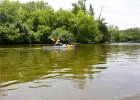 Fox River  Paddling to North Aurora. Fox River Canoe Kayak Race from St Charles to Aurora : 2017, Fox River, Fox River Canoe and Kayak Race, Fox Valley Park District, Kayaking, paddling